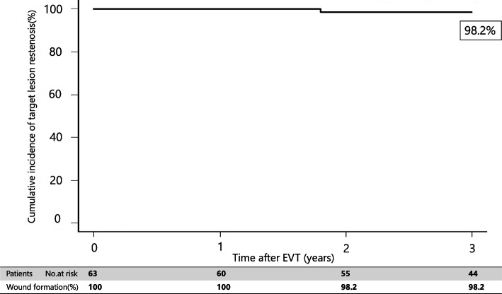 Wound formation in patients with Rutherford category IV disease after endovascular therapy: rates and risk factors.
