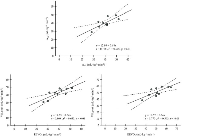 VO<sub>2</sub>FITTING Software: New Insights and Practical Applications (VO<sub>2</sub>FITTING Software Update).