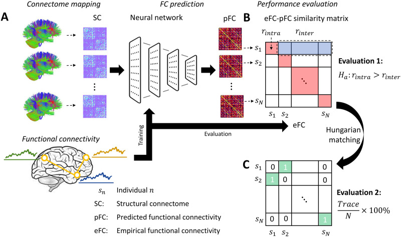 Predicting an individual's functional connectivity from their structural connectome: Evaluation of evidence, recommendations, and future prospects.