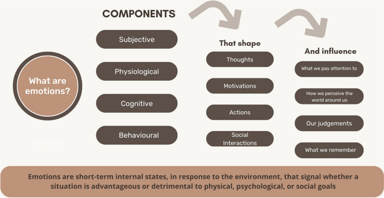 More than a feeling: emotional regulation strategies for simulation-based education.