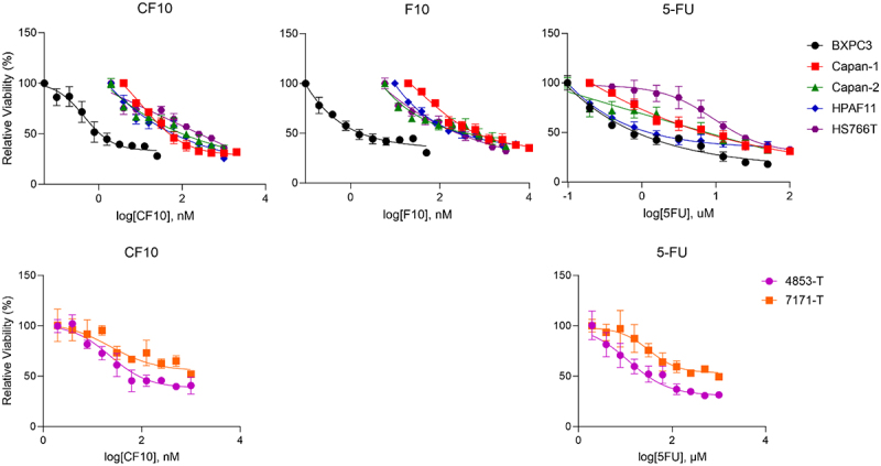 The polymeric fluoropyrimidine CF10 overcomes limitations of 5-FU in pancreatic ductal adenocarcinoma cells through increased replication stress.