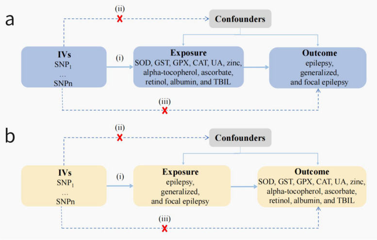 The associations between oxidative stress and epilepsy: a bidirectional two-sample Mendelian randomization study.
