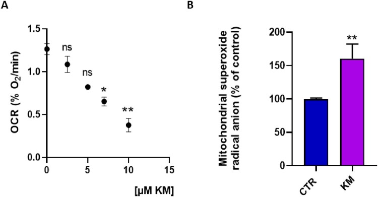 Mitochondrial dysfunction induced in human hepatic HepG2 cells exposed to the fungicide kresoxim-methyl and to a mixture kresoxim-methyl/boscalid.