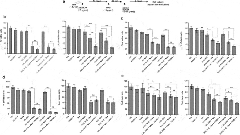 CD46 and CD59 inhibitors enhance complement-dependent cytotoxicity of anti-CD38 monoclonal antibodies daratumumab and isatuximab in multiple myeloma and other B-cell malignancy cells.