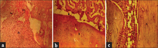 Abstract Image