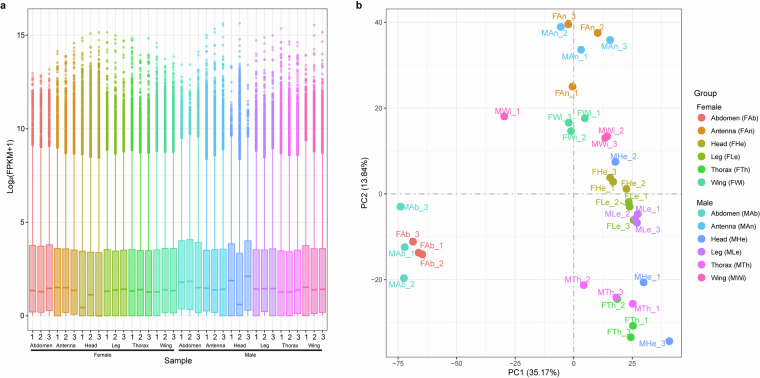 Comprehensive sex- and tissue-specific transcriptome of the destructive invasive pest Tuta absoluta adults.