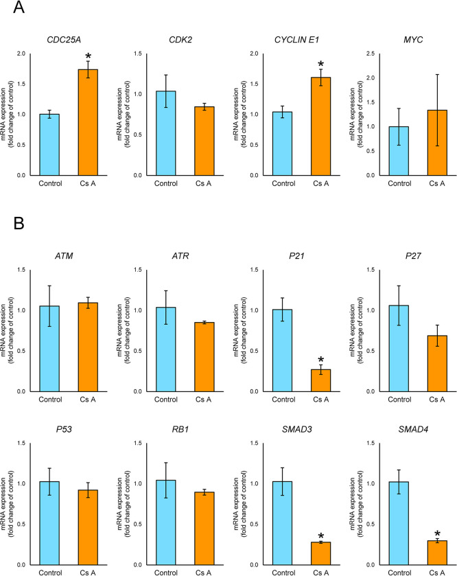 Cyclosporine A causes gingival overgrowth via reduced G1 cell cycle arrest in gingival fibroblasts.