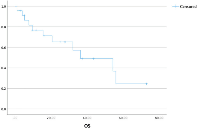 Real world outcomes in alveolar soft part sarcomas: experience with an ultra-rare sarcoma from a tertiary care centre in North India.