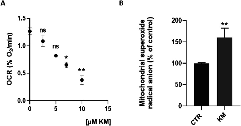 Mitochondrial dysfunction induced in human hepatic HepG2 cells exposed to the fungicide kresoxim-methyl and to a mixture kresoxim-methyl/boscalid.