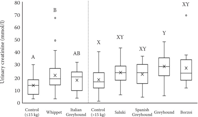 Evaluation of urine protein to creatinine ratio in sighthound breeds.