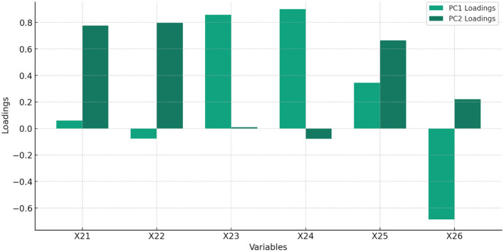 How does digitally enabled micro-finance promote income equality for the vulnerable in the expanded BRICS block during the pandemic?