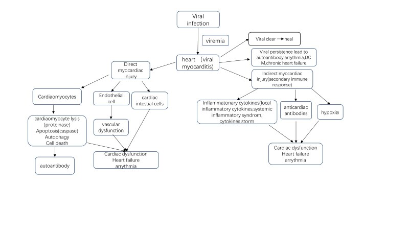Viral Myocarditis.