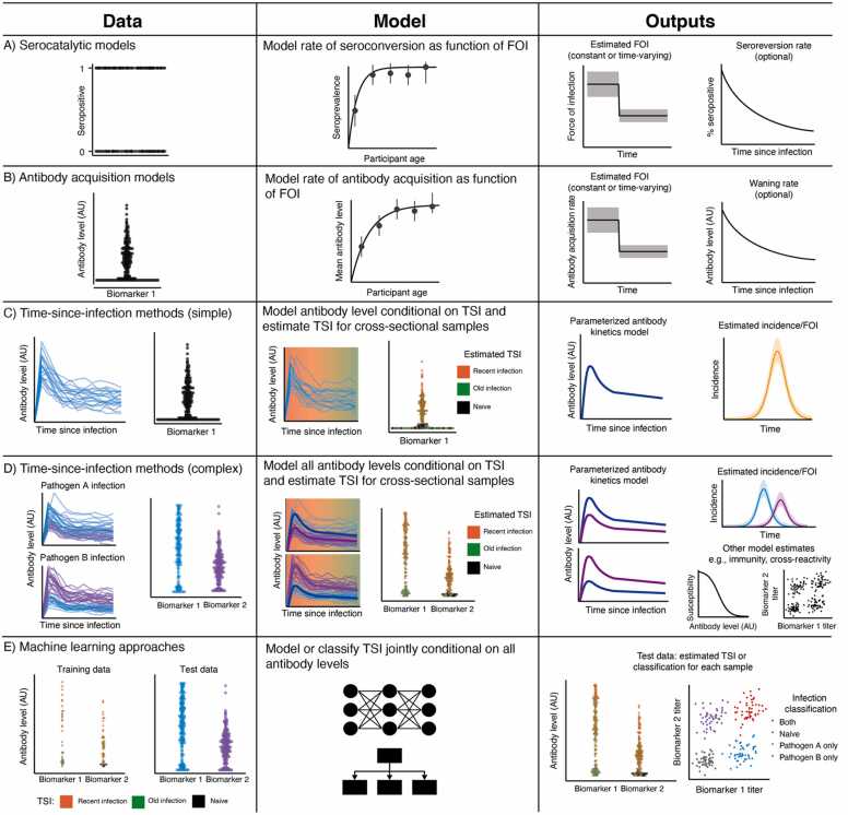 Serodynamics: A primer and synthetic review of methods for epidemiological inference using serological data