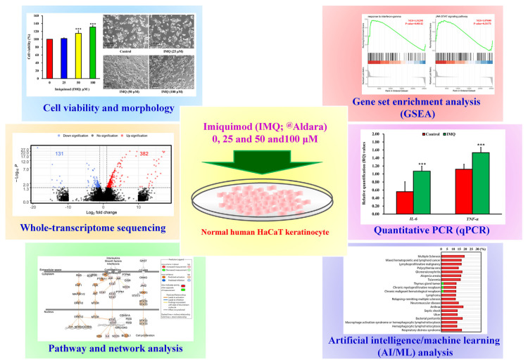 Advanced whole transcriptome sequencing and artificial intelligence/machine learning (AI/ML) in imiquimod-induced psoriasis-like inflammation of human keratinocytes.