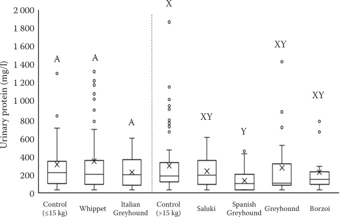 Evaluation of urine protein to creatinine ratio in sighthound breeds.
