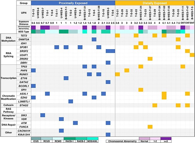 Myelodysplastic syndromes among atomic bomb survivors in Nagasaki: similarities to and differences from de novo and therapy-related cases.