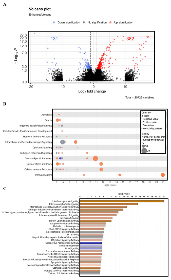 Advanced whole transcriptome sequencing and artificial intelligence/machine learning (AI/ML) in imiquimod-induced psoriasis-like inflammation of human keratinocytes.