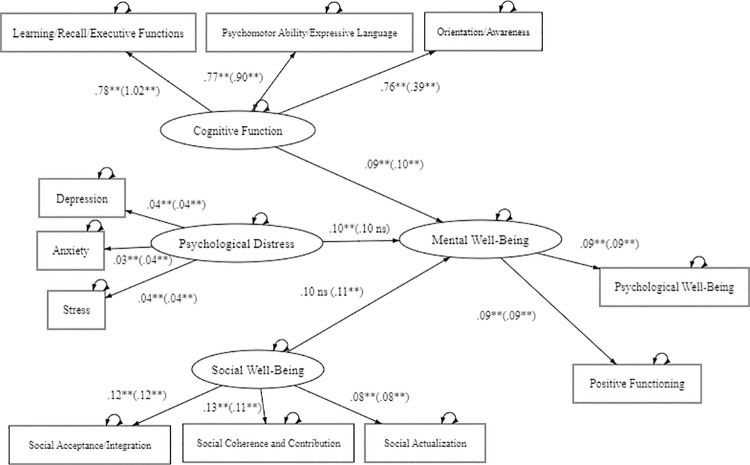Mental well-being model of Thai older adults: Comparing the aging in place and aging migrant groups.