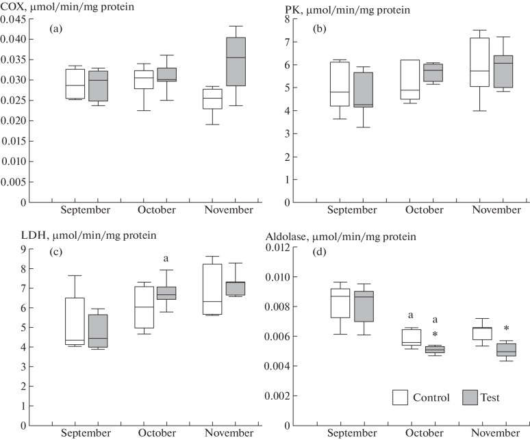 Activities of Energy and Carbohydrate Metabolism Enzymes in Rainbow Trout Оncorhynchus mykiss Walb. upon Introduction of 24-hour Lighting in Aquaculture in Southern Russia.