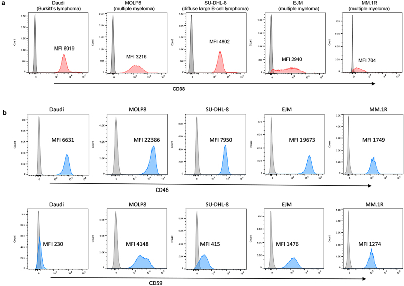 CD46 and CD59 inhibitors enhance complement-dependent cytotoxicity of anti-CD38 monoclonal antibodies daratumumab and isatuximab in multiple myeloma and other B-cell malignancy cells.