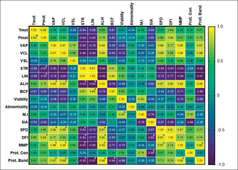 The frozen-thawed sperm protein of Indonesian Toraya buffaloes is significantly associated with sperm kinematics, acrosome integrity, and mitochondrial membrane potential.