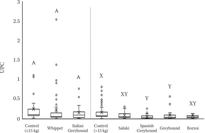 Evaluation of urine protein to creatinine ratio in sighthound breeds.