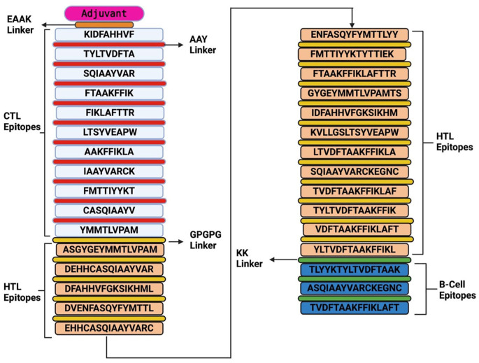 Multi-epitope Based Peptide Vaccine Candidate Against <i>Babesia</i> Infection From Rhoptry-Associated Protein 1 (RAP-1) Antigen Using Immuno-Informatics: An <i>In Silico</i> Approach.
