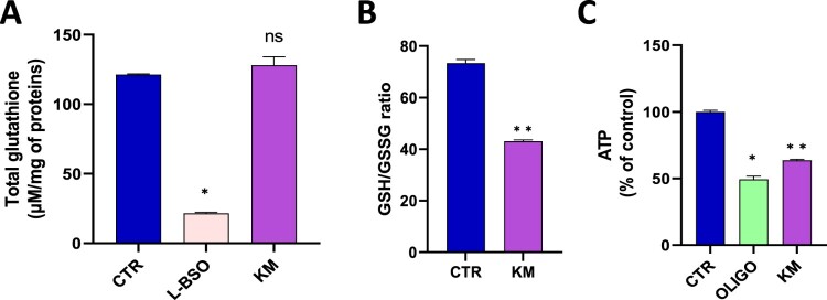 Mitochondrial dysfunction induced in human hepatic HepG2 cells exposed to the fungicide kresoxim-methyl and to a mixture kresoxim-methyl/boscalid.