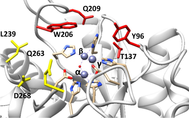 PHP-Family Diesterase from <i>Novosphingobium</i> with Broad Specificity and High Catalytic Efficiency against Organophosphate Flame-Retardant Derived Diesters.