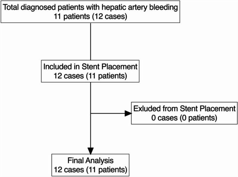 Hepatic artery stenting with Viabahn.