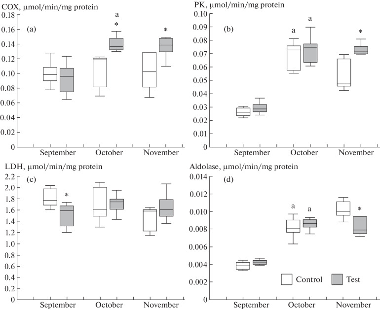 Activities of Energy and Carbohydrate Metabolism Enzymes in Rainbow Trout Оncorhynchus mykiss Walb. upon Introduction of 24-hour Lighting in Aquaculture in Southern Russia.