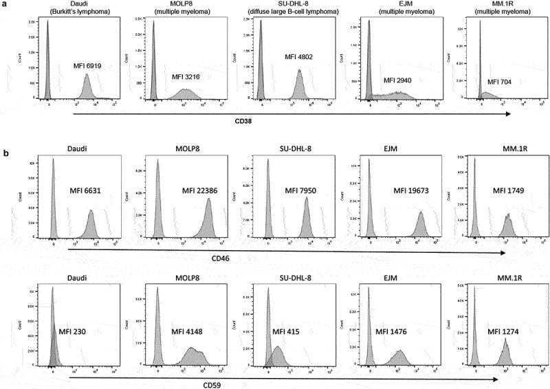 CD46 and CD59 inhibitors enhance complement-dependent cytotoxicity of anti-CD38 monoclonal antibodies daratumumab and isatuximab in multiple myeloma and other B-cell malignancy cells.
