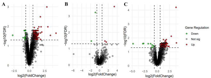 Identification and Correlation Analysis of Ferroptosis-Related Genes in Three Brain Regions of Patients with Schizophrenia.