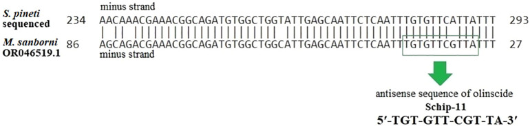 The 'genetic zipper' method offers a cost-effective solution for aphid control.