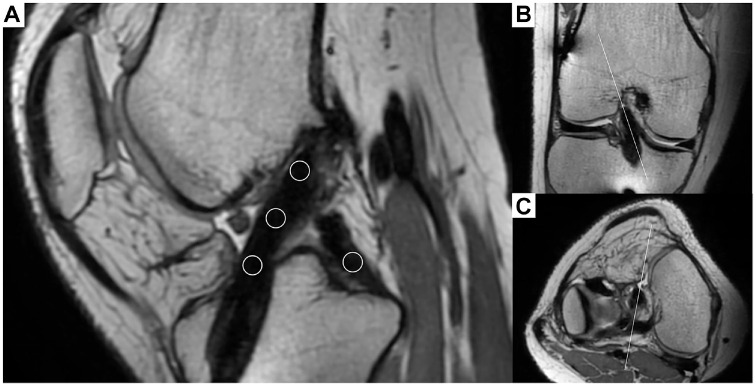 Abstract Image