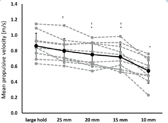 Intra and Inter-Session Reliability of Movement Velocity During Pull-Ups Performed at Small Climbing Holds.