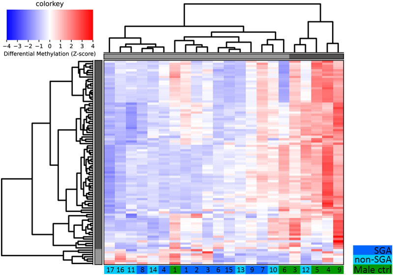 Genome-wide methylation analysis in patients with proximal hypospadias - a pilot study and review of the literature.