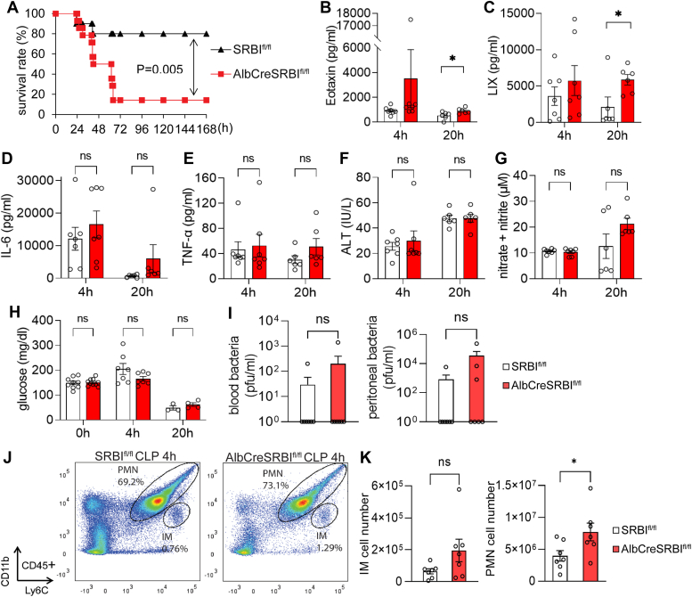 Elevated free cholesterol levels due to impaired reverse cholesterol transport are a risk factor for polymicrobial sepsis in mice.