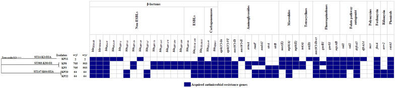 Efficacy of colistin-based combinations against pandrug-resistant whole-genome-sequenced Klebsiella pneumoniae isolated from hospitalized patients in Egypt: an in vitro/vivo comparative study.