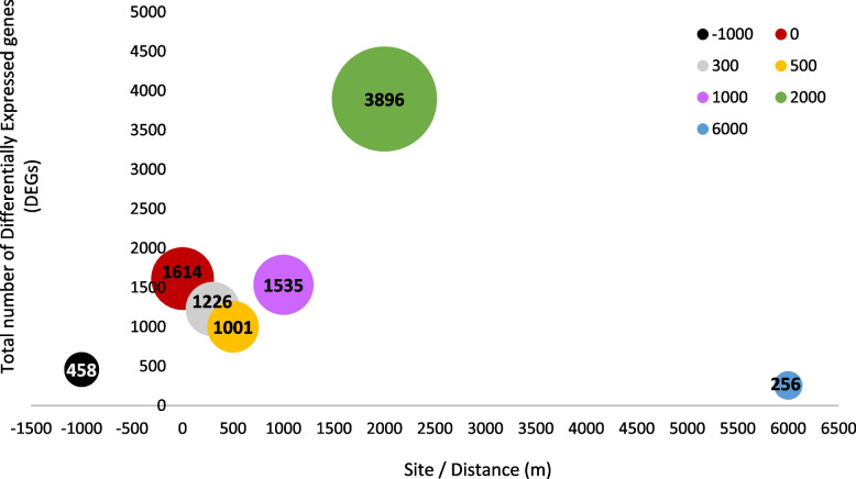 Insights into the transcriptomic responses of silver-lipped pearl oysters Pinctada maxima exposed to a simulated large-scale seismic survey.