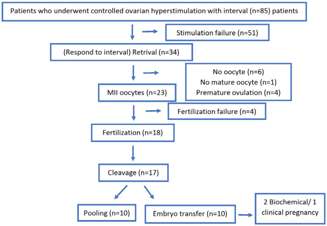 The effect of gonadotropin gap for non-growing follicles in poor ovarian response: Might this be a new strategy?