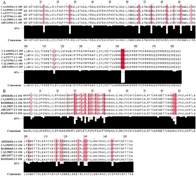 Design of multi-epitope-based therapeutic vaccine candidates from HBc and HBx proteins of hepatitis B virus using reverse vaccinology and immunoinformatics approaches.