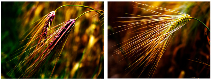 Abstract Image