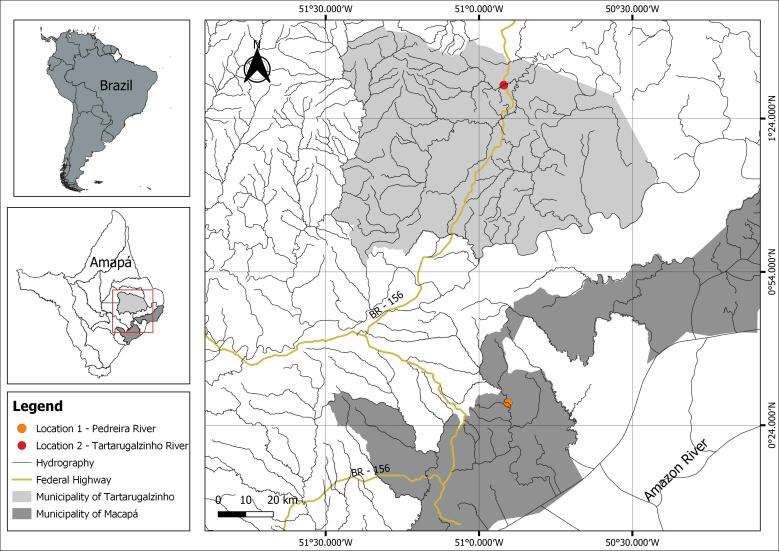 A new Ceratomyxa (Cnidaria: Myxosporea) infecting the ornamental fish species Pterophyllum scalare from the Amazon Region, Brazil.