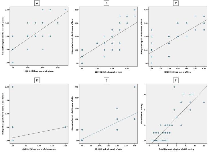 Clinicopathologic Effects of Xenogeneic GvHD Induced by Adoptively Transferred Human-Derived T Cells in Severely Immunodeficient Mice.