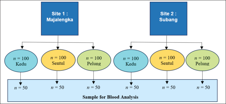 Modulation of growth-related protein expression of native chicken in low altitude in West Jawa, Indonesia.