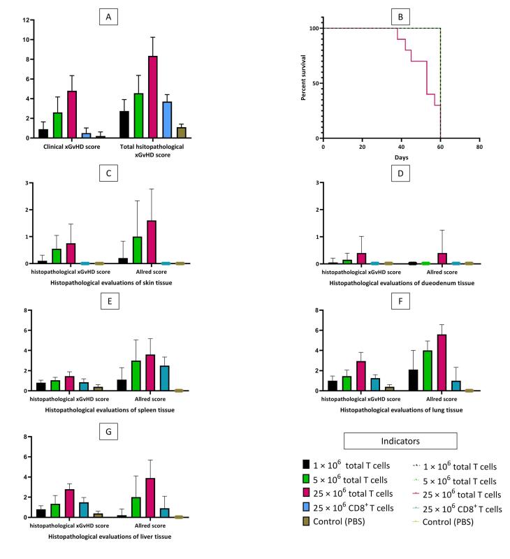 Clinicopathologic Effects of Xenogeneic GvHD Induced by Adoptively Transferred Human-Derived T Cells in Severely Immunodeficient Mice.