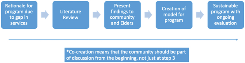 Inuit youth health and wellbeing programming in Canada.