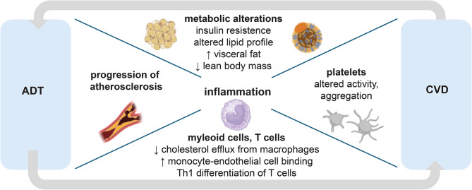 Thrombo-inflammation linking androgen suppression with cardiovascular risk in patients with prostate cancer.