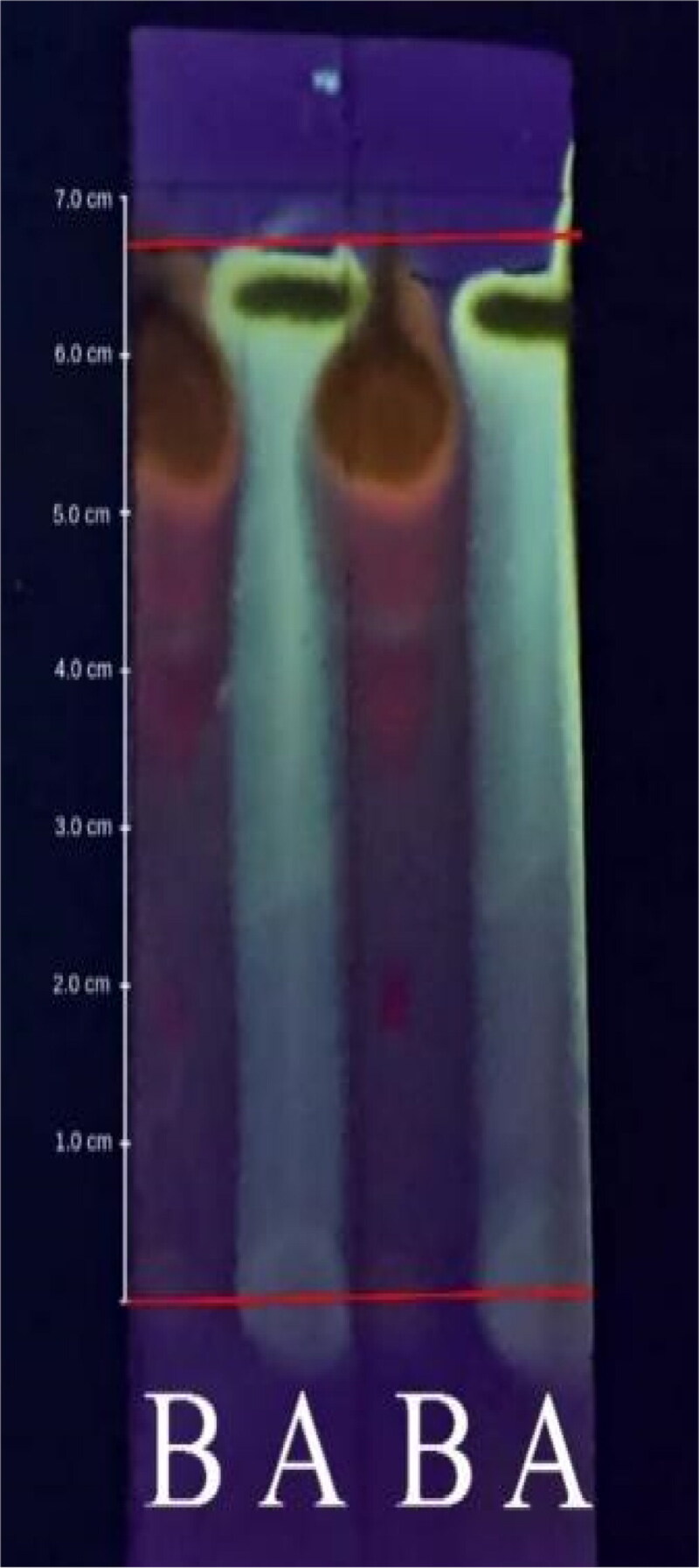 Abstract Image